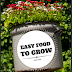Five Easy Foods To Grow With Kids