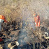 Bombeiros combatem novos focos de incêndios florestais em Barreiras