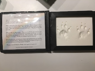 cat paw prints pressed into clay