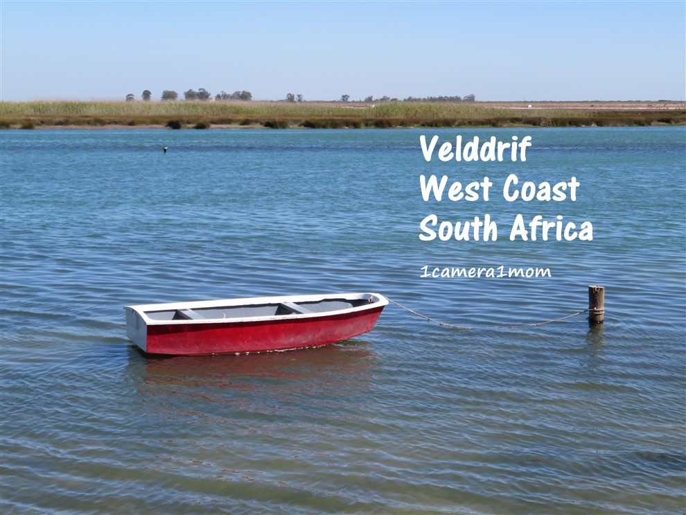 1camera1mom On the West Coast at Velddrif