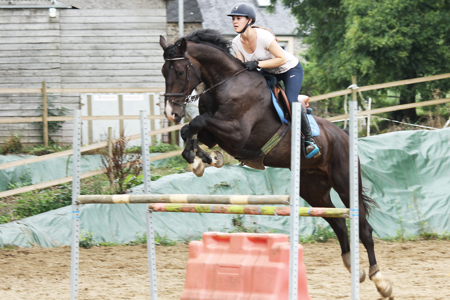 passions photographie équine passions photographie équine