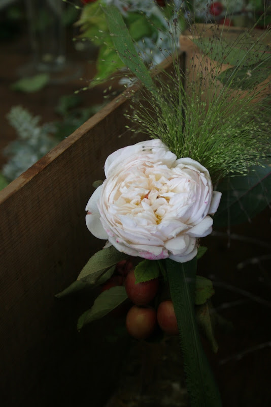 honey of a thousand flowers jen's flowers