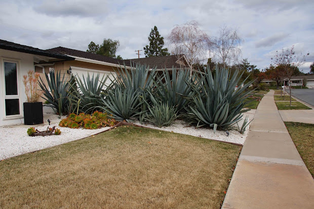 mid century retro-modern ranch
