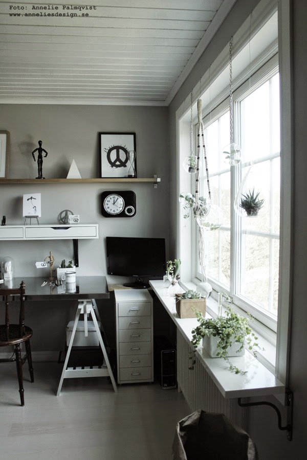 arbetsrum, vitt, vit, vita, svart klocka, väggklocka, skrivbord, fönster, ateljé, papperspåsar till blommorna, växter, växt, gråmålad vägg, 