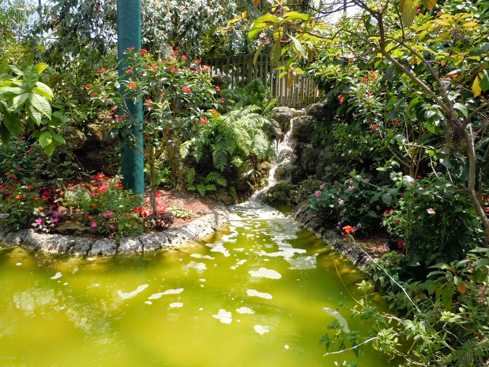 Tuấn Đoan .Butterfly World Fort Lauderdale Florida