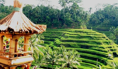 Keindahan Alam Dan Seni Budaya Ubud Wisata Terbaik di Bali
