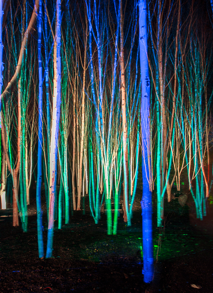 anglesey abbey christmas lights decoratingspecial com anglesey abbey christmas lights decoratingspecial com
