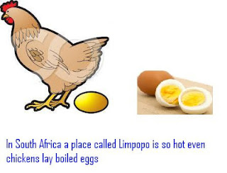 FUNNY SOUTH AFRICAN JOKES 