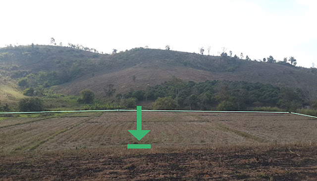 ขายที่ติดเขา