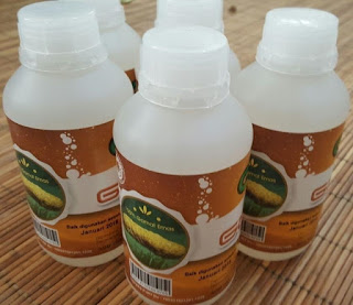 Obat Ginjal Bengkak Tradisional Obat Ginjal Bengkak Tradisional