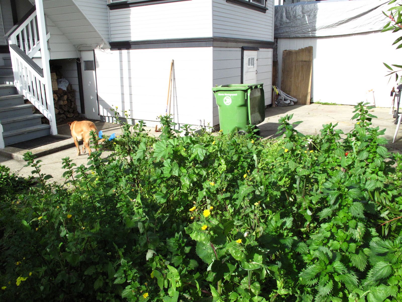 Square Foot Gardening Project