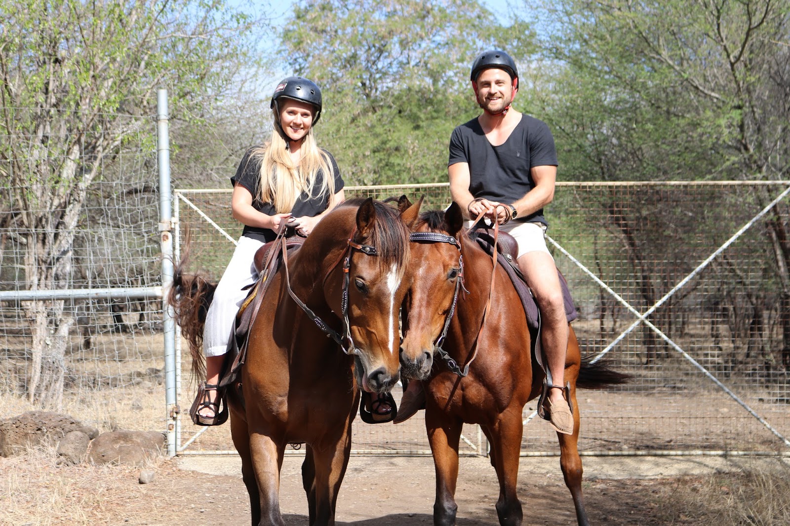 Casela Horse Safari