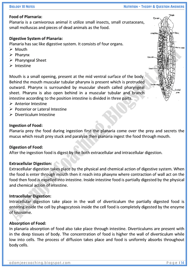 descriptive essay about nature