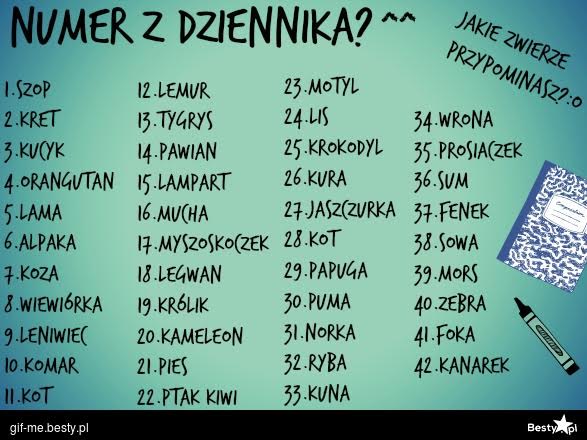 Numerki Z Dziennika Które Do Siebie Pasują