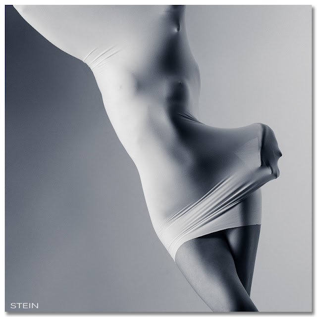 © Vadin Stein 2011