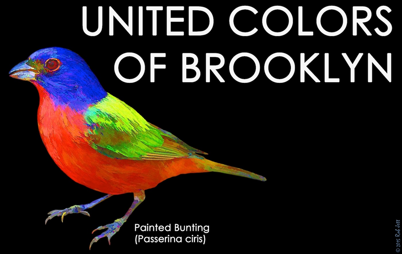 The City Birder Brooklyn Painted Bunting TShirt