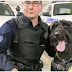 CANADA SAYS GOODBYE TO ITS FIRST EVER GIANT SCHNAUZER POLICE DOG