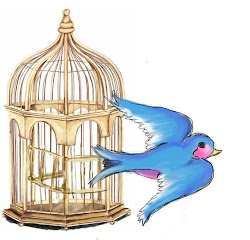 bird cage trap put thoughts let someone them following fell into