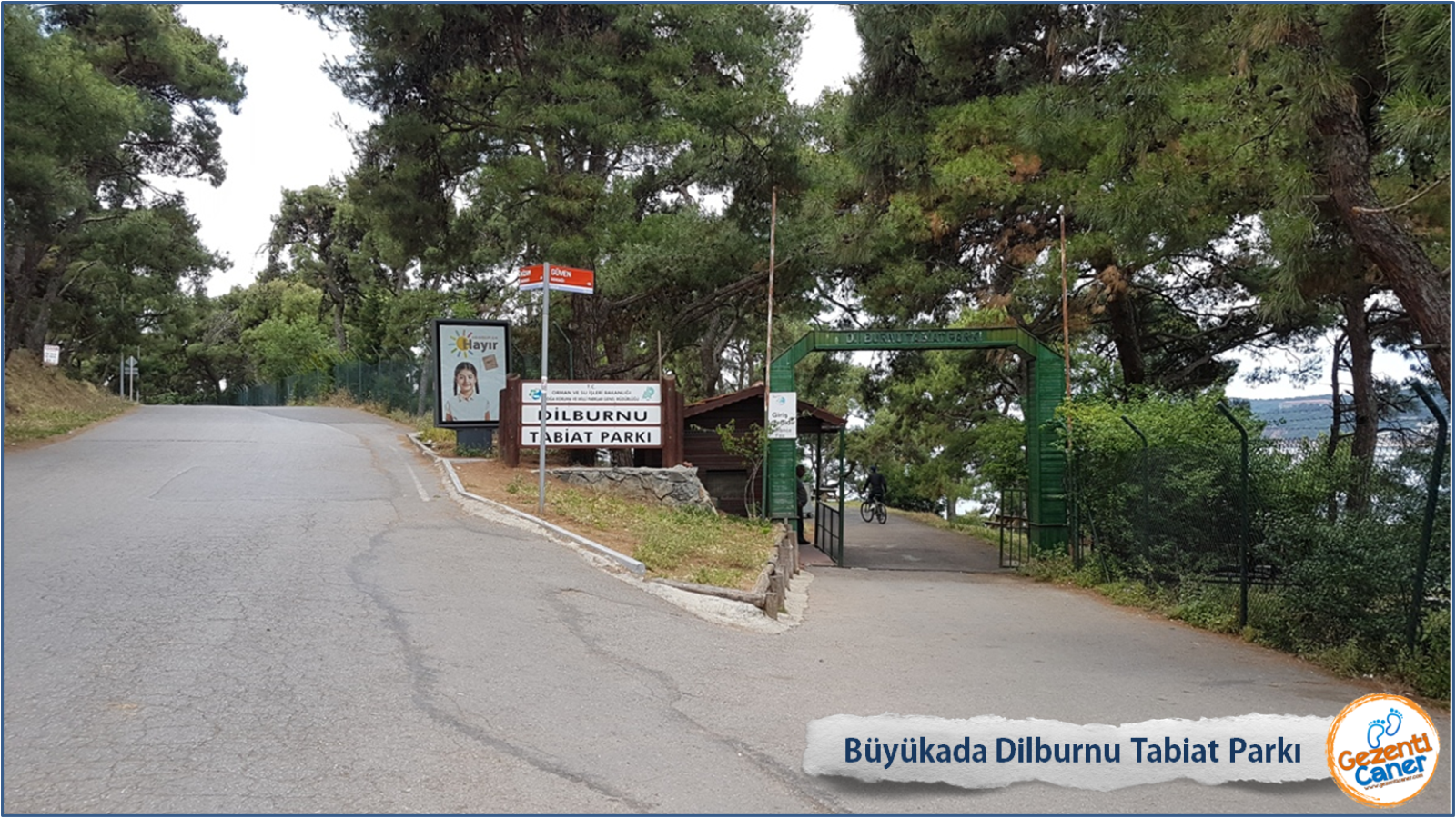Buyukada Fayton Ve Bisiklet Turlari Fayton Tarifesi Ve Bisiklet Kiralama