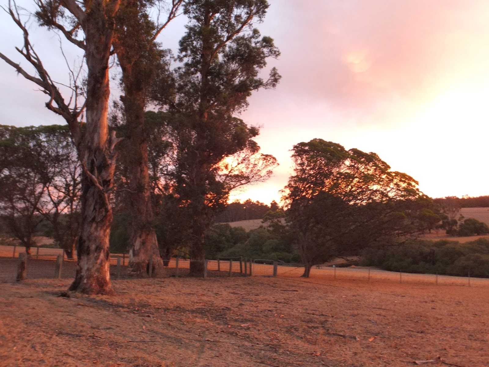"THE LEYLAND SISTERS" MARGARET RIVER POPULATION 4,415