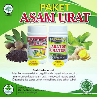 2 Kapsul Obat Menyembuhkan Asam Urat Yang Ampuh 2 Kapsul Obat Menyembuhkan Asam Urat Yang Ampuh