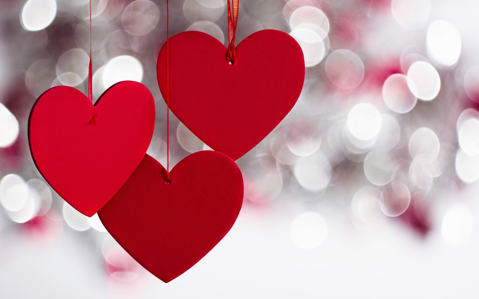 hdwallpapersz dowload free hd wallpapers with high quality