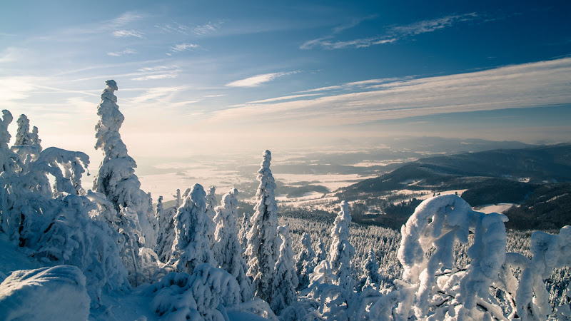 Nature in Winter looks Amazing