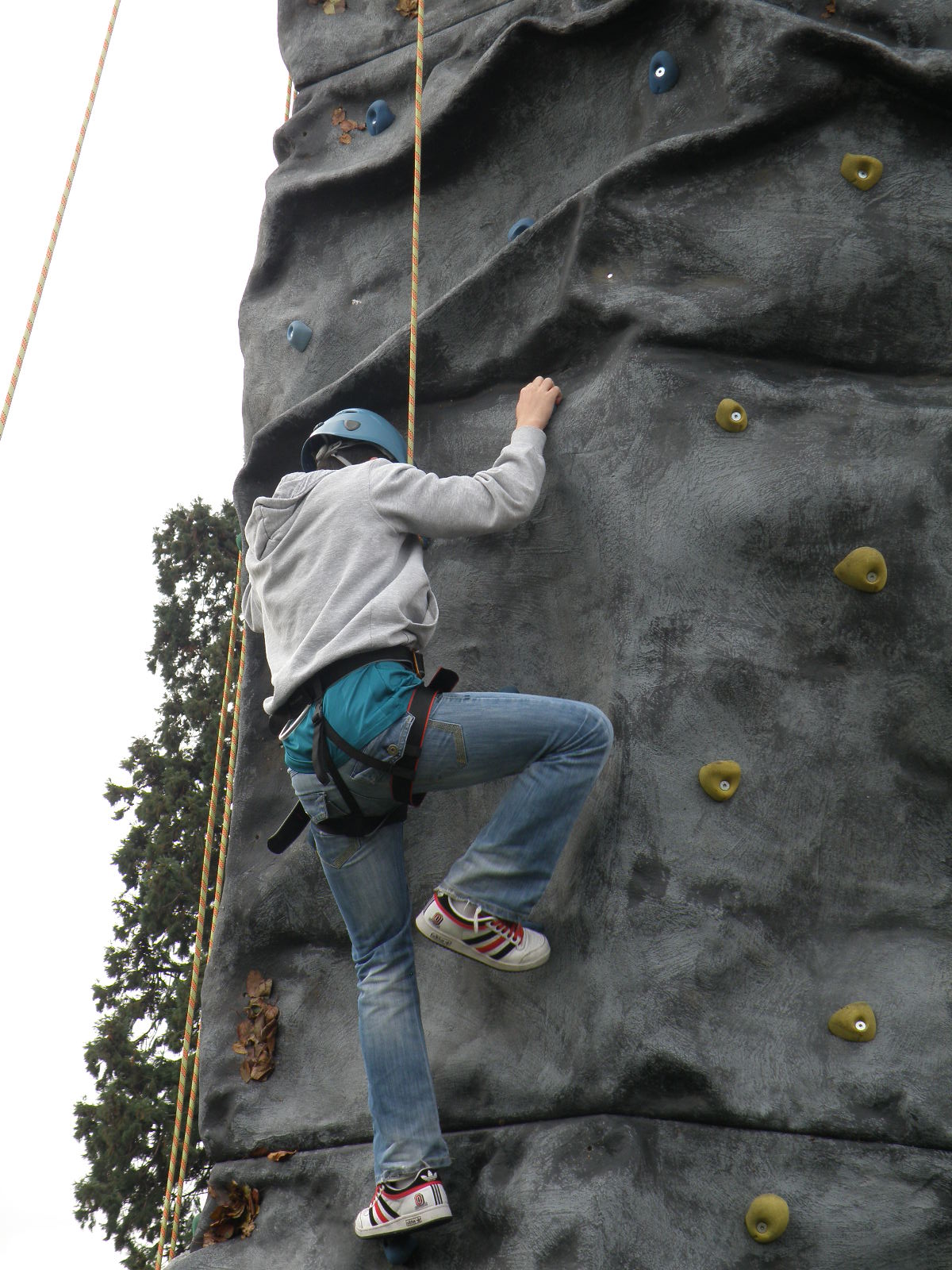 Hall Place Outdoor Education Centre: Mobile Climbing Wall Hire
