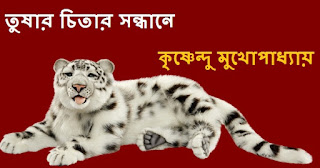 Bengali Thriller Story Book PDF