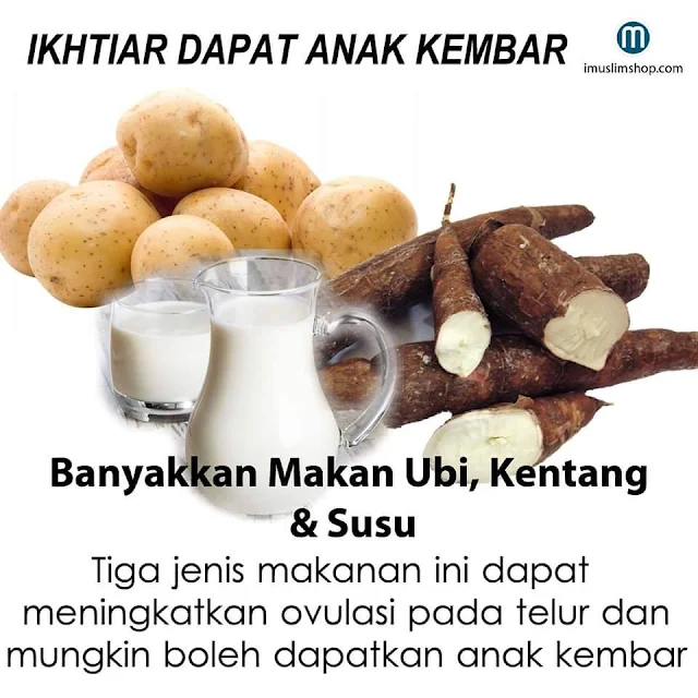 ikhtiar-dapat-anak-kembar