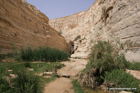 национальный парк в пустыне Негев