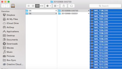 raw images in finder