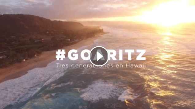 GOARITZ HAWAII GOARITZ HAWAII