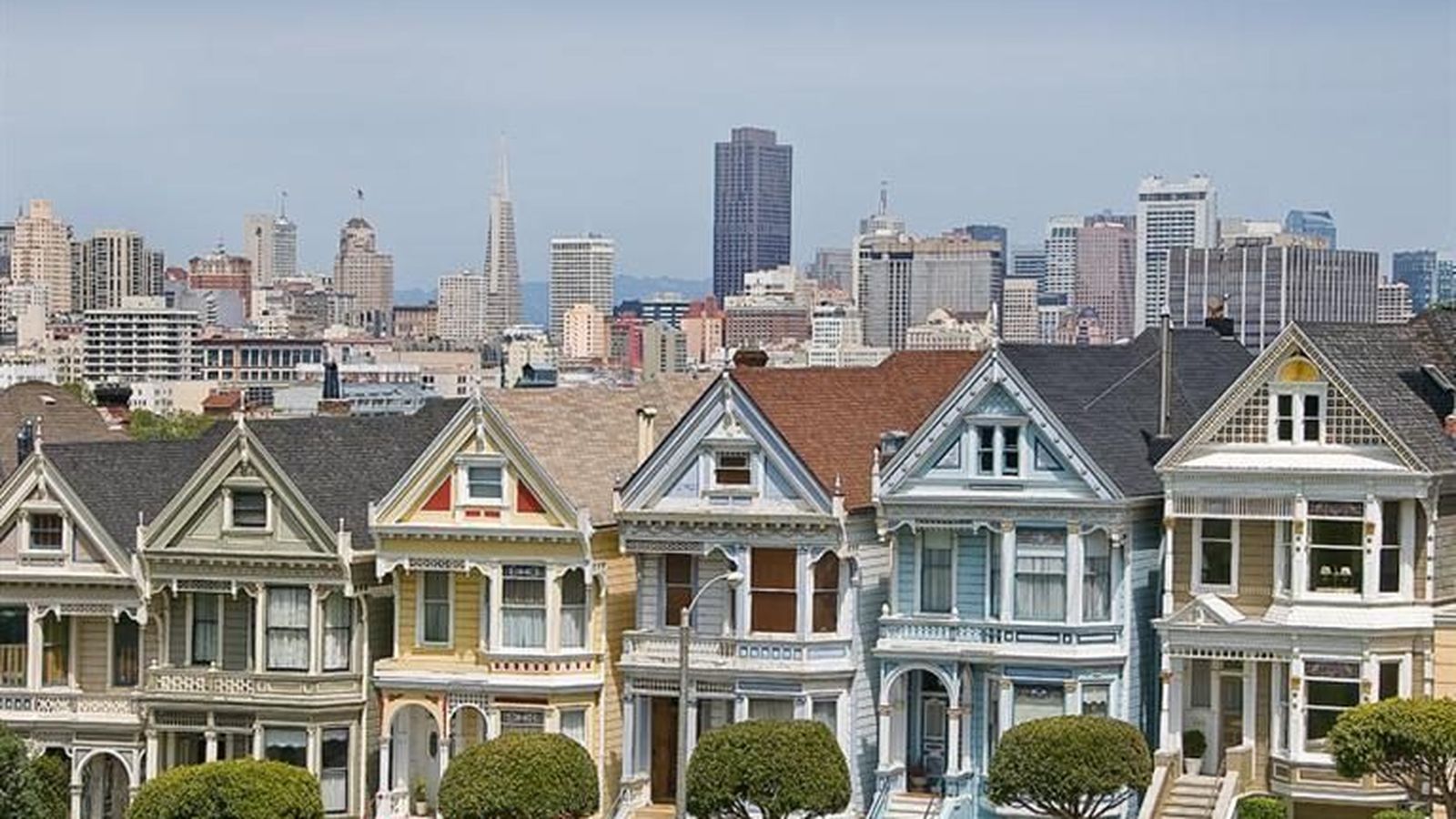 Life In Color Painted Ladies The Colorist Movement