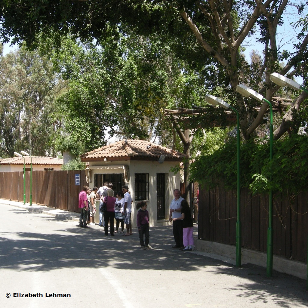 Exploring Cyprus Old Limassol Zoo