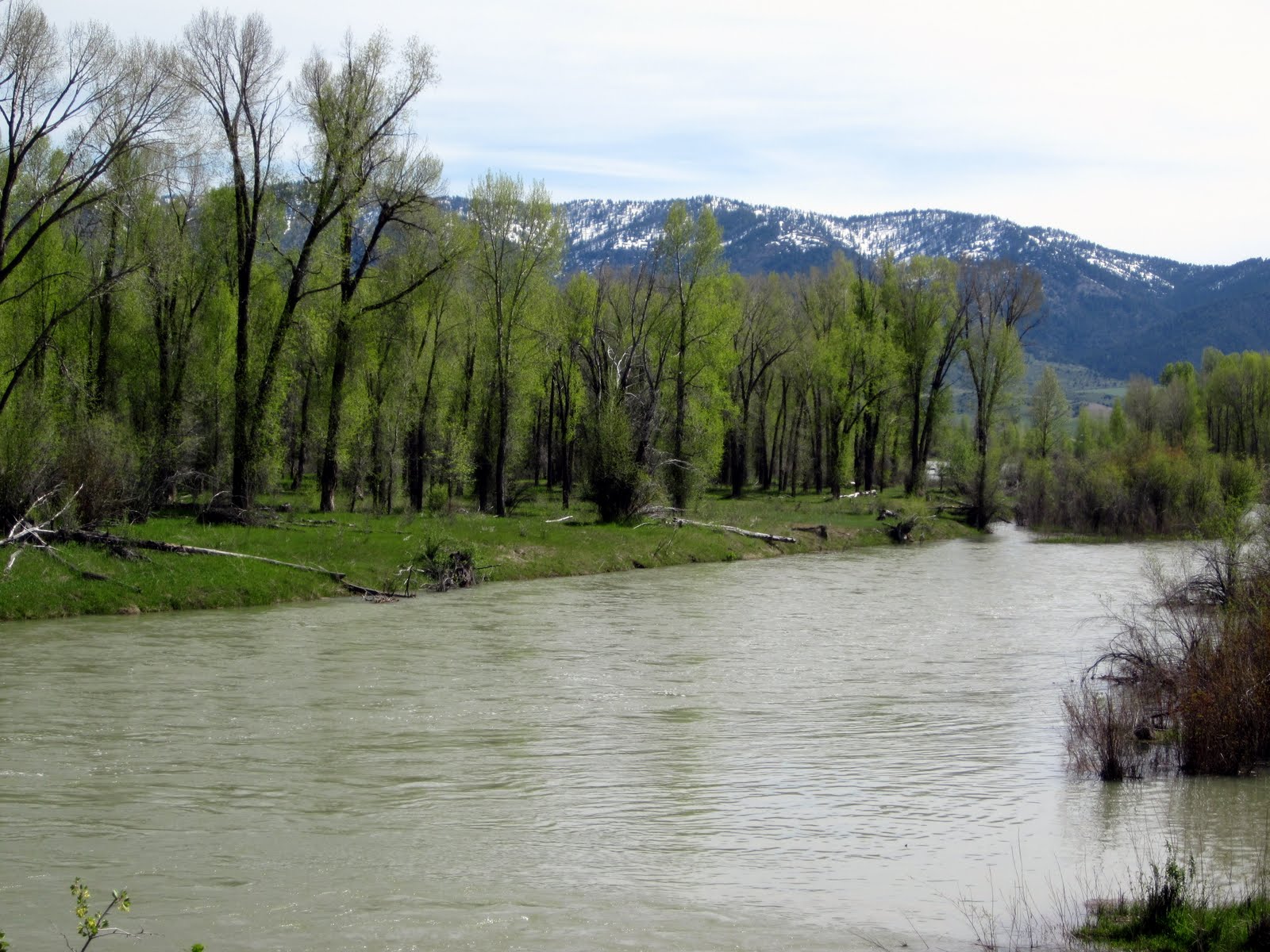 Journeys Idaho Falls, Idaho Mountain Brewers Beer Festival