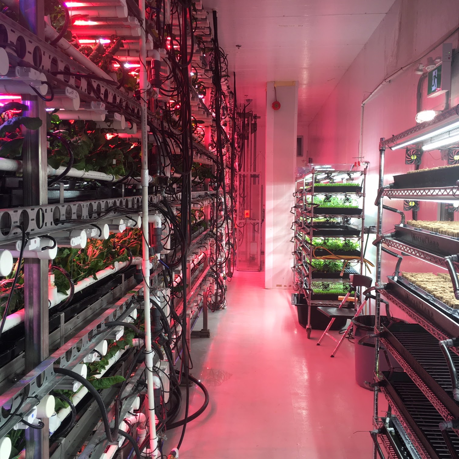 MUSINGS A GLIMPSE INTO THE FUTURE HOW A WAREHOUSE CHANGED THE WAY I