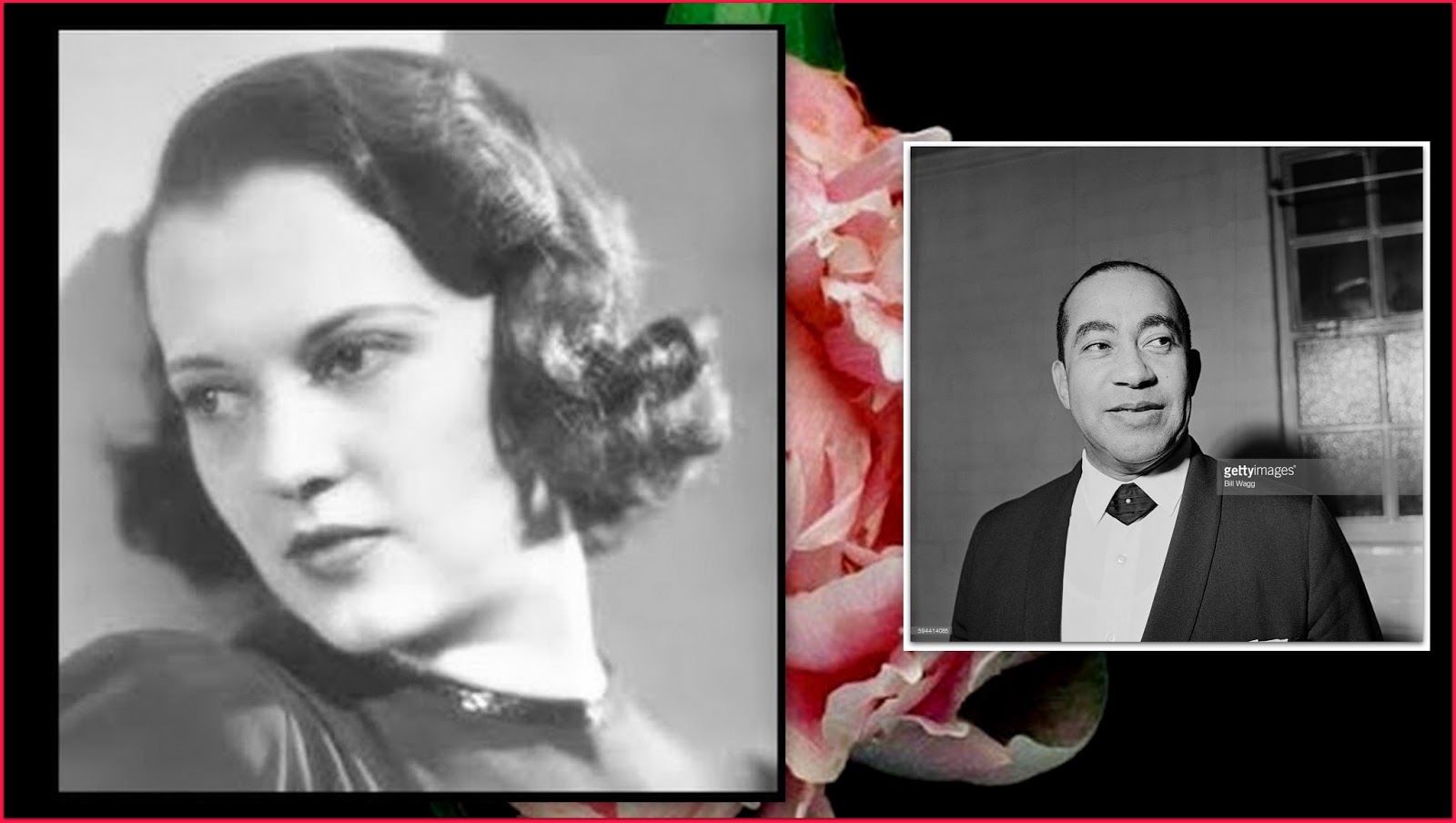 Brown Sugar: Over 80 Years of America's Black Female Superstars: Fredi ...