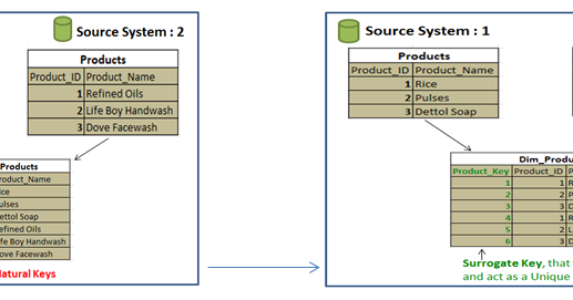 A World Of Microsoft Business Intelligence: SURROGATE KEYS and NATURAL KEYS