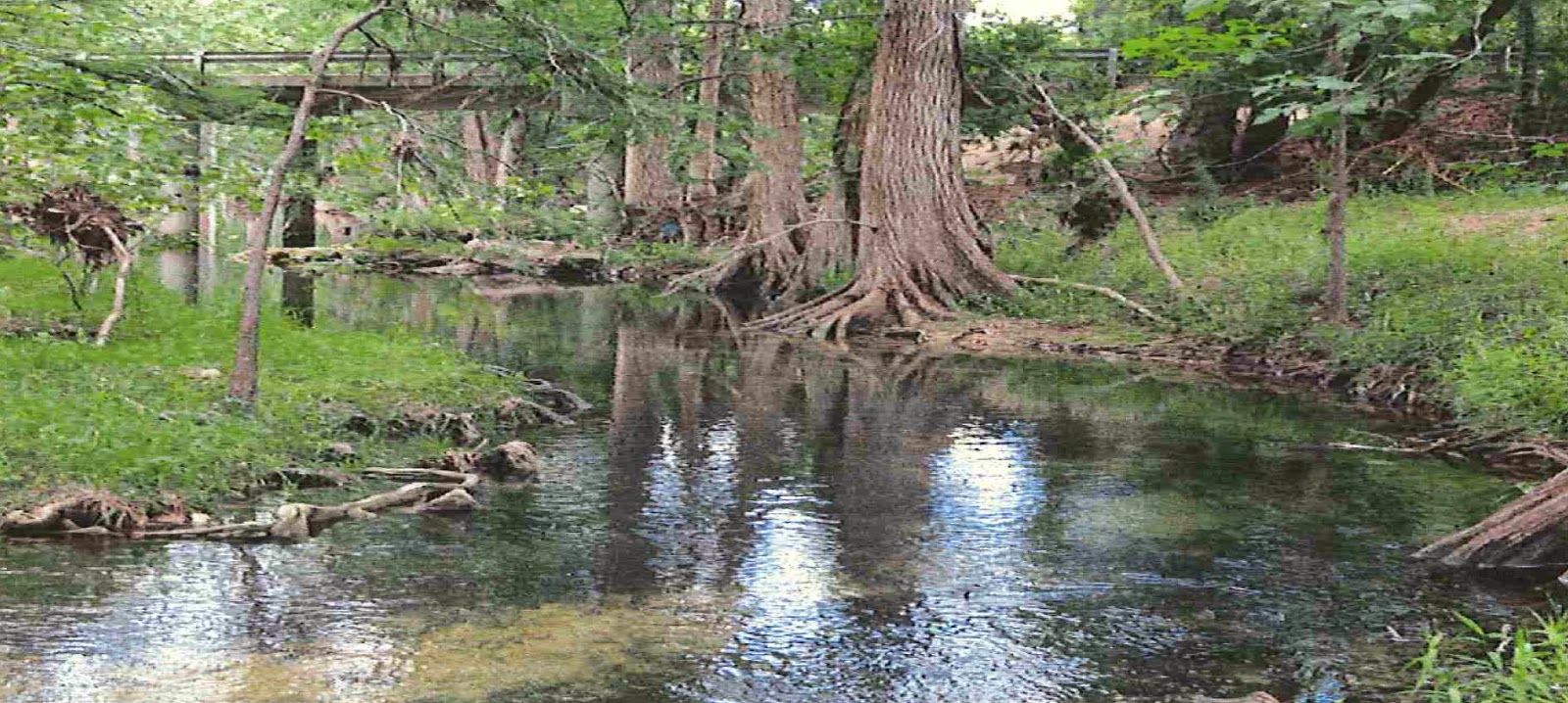Wimberley Valley Watershed News LAND ALONG CYPRESS CREEK PRESERVED