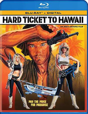 Hard Ticket To Hawaii 1987 UNRATED Daul Audio 720p BRRip HEVC x265