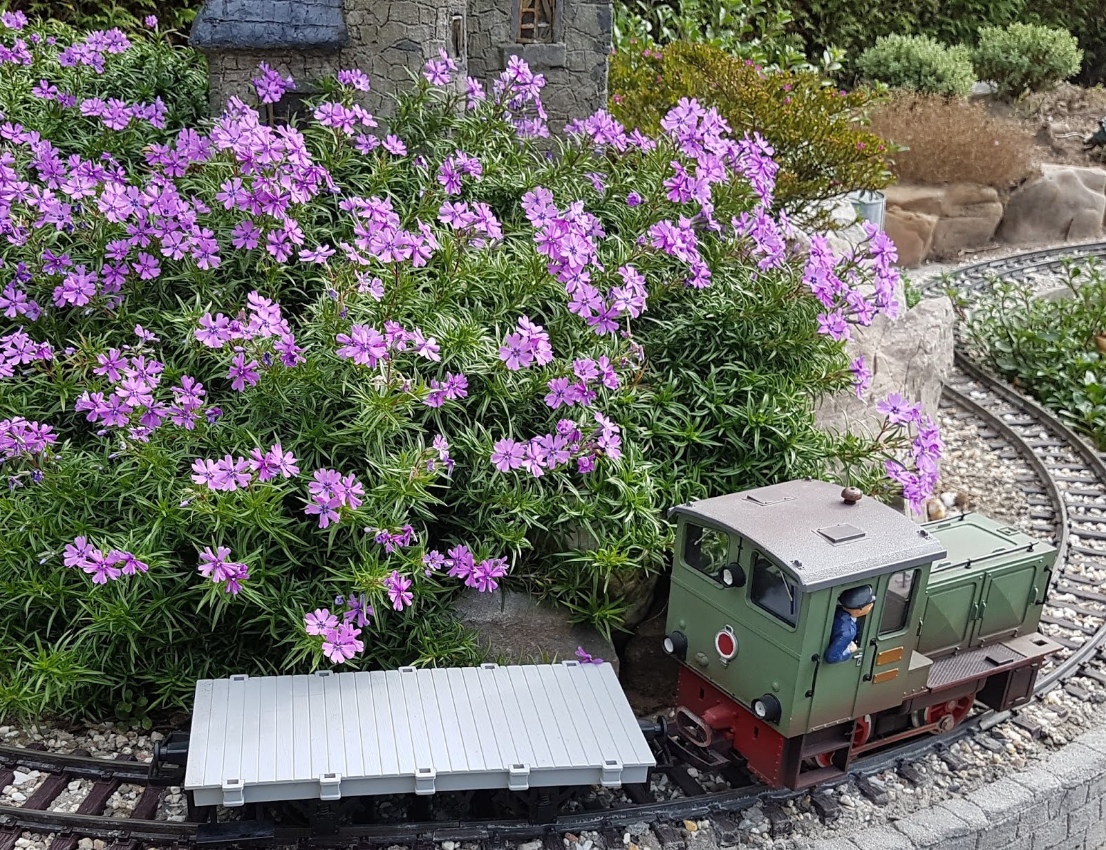 A Small Garden Railroad Plants On The Layout