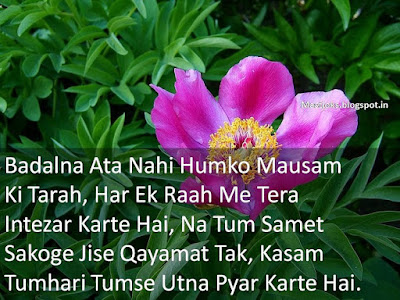 love shayari