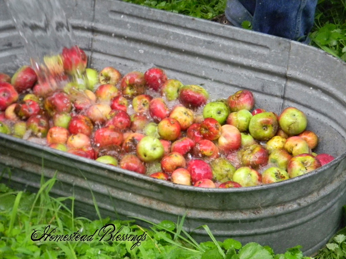 Bushels of Apples