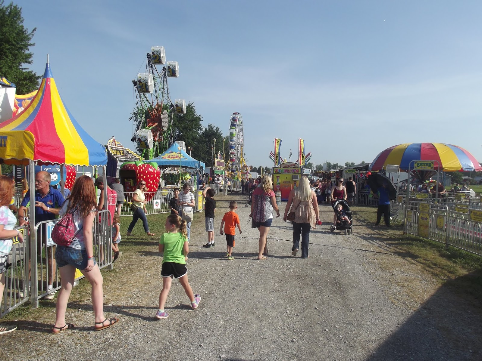 Book Research The 4H County Fair Southeast Edition Jefferson