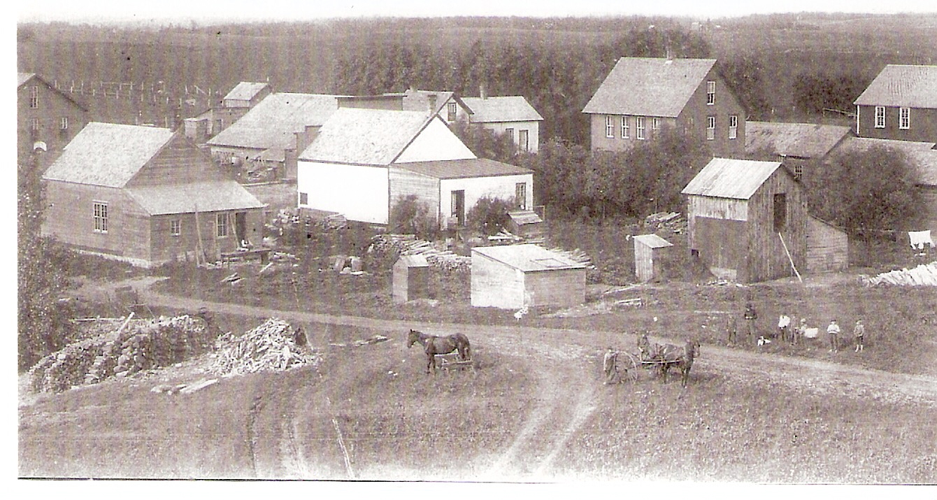 Lolly's Blog Yesterday. . .and Today...Dalton, Minnesota