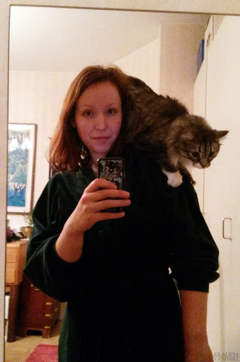 Katten Vifslan, foto av Alicia Sivertsson.