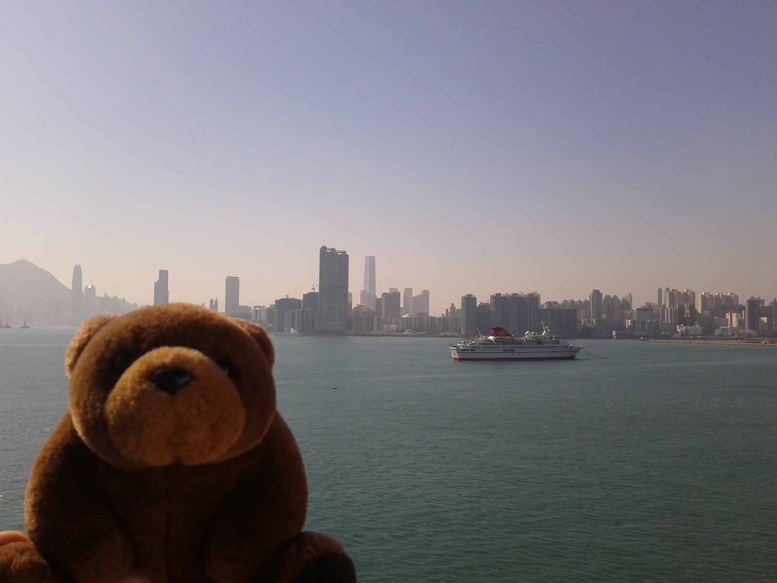 Teddy Bear in Hong Kong