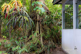 makam pangeran bumidirjo