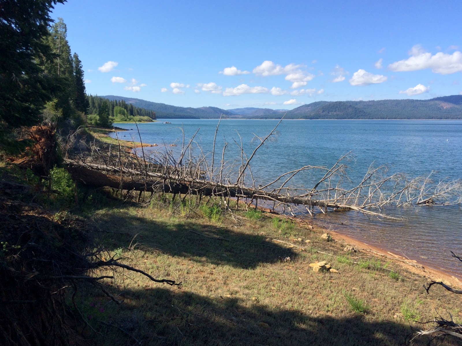 Gravel Beach Lake Almanor